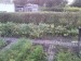 img1254