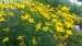 20150709_142558